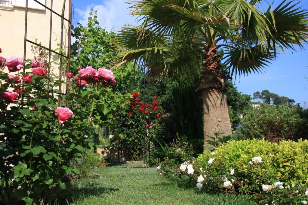 Le Mas Des Amandiers Appartamento Saint-Paul-de-Vence Esterno foto